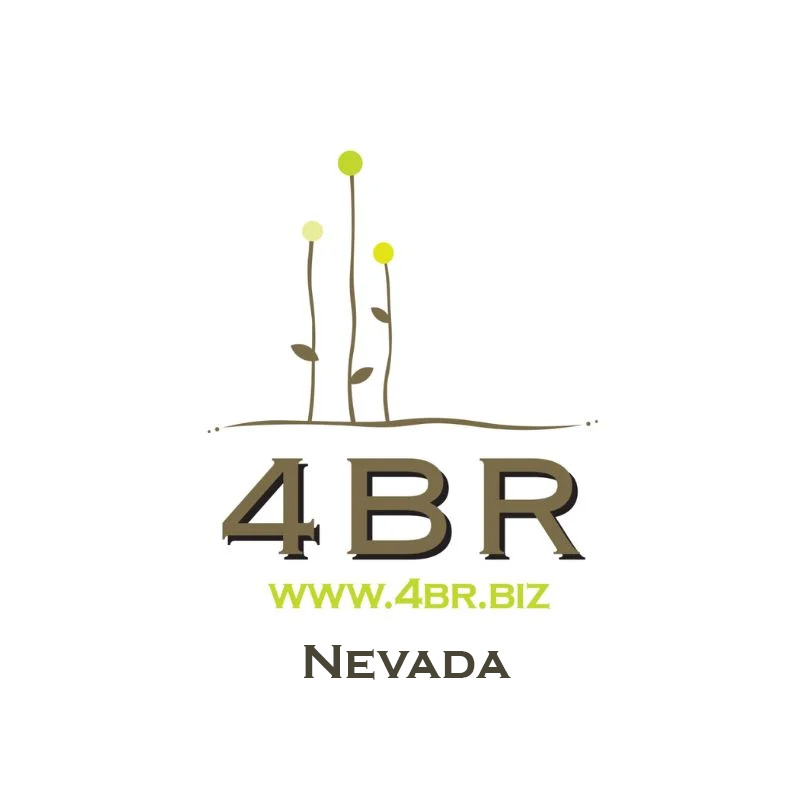 Nevada Networking Group